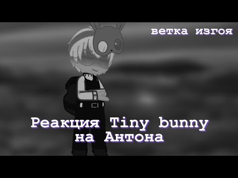 Видео: Реакция Tiny bunny на Антона🐰 (зверей)/ Ветка Изгоя^ Зайди в описание.