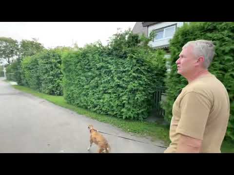 Видео: Малые городки Эстонии. Прогулка по Кейла