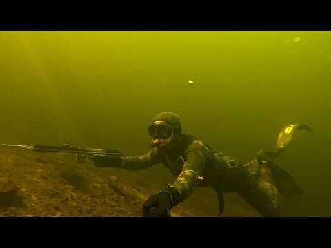 Видео: Подводная охота Волгоград 2025