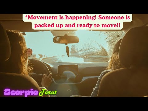 Видео: Скорпион *Переезд! Кто-то уже собрал вещи и готов к переезду!