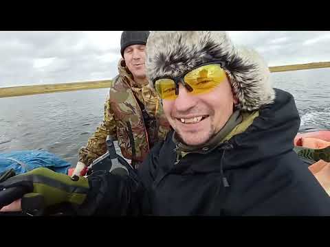 Видео: Осенняя таёжная рыбалка красноярский край 2023 г.