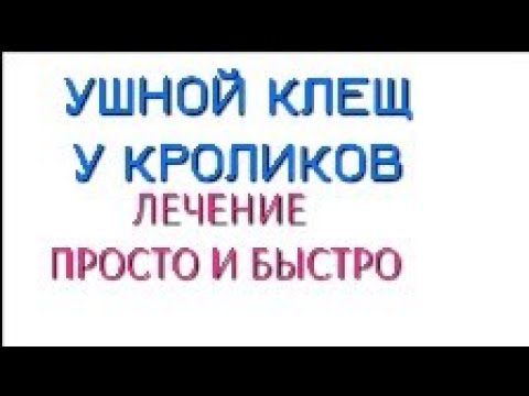 Видео: Ушной клещ у кролика. Лечение легко и просто. Псороптоз у кролика.