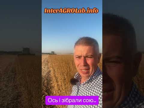 Видео: Ось і зібрали сою.., є насіння до продажу