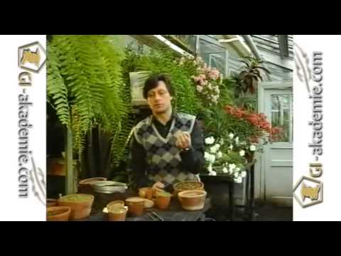 Видео: №3 Советы садоводу от Юрия Борисовича Марковского