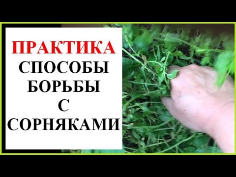 Видео: Сорняки замучили. Как бороться?