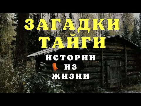 Видео: Жуткие случаи в тайге/ Истории таёжных охотников/ Страшные истории