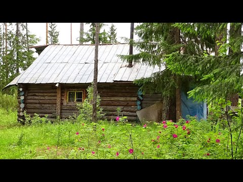 Видео: Летняя рыбалка ч1. Лесная изба. Четыре дня один в глухой тайге. Таёжный быт, кухня. Северная река