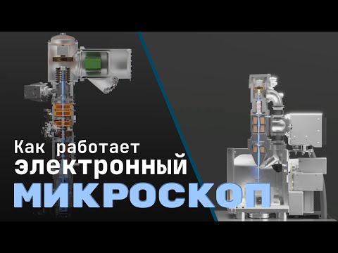 Видео: Как работает электронный микроскоп? Фотографируем атомы [Branch Education на русском]