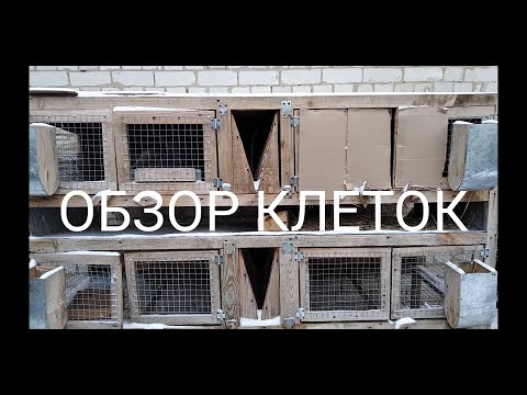 Видео: ОБЗОР ВСЕХ моих КЛЕТОК! Клетки для кроликов. Плюсы и минусы разных моделей клеток.