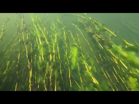 Видео: Подготовка реки Северка к сплавам