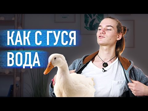 Видео: Как мастерски отвечать на критику и травлю. Буллинг