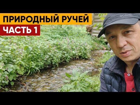 Видео: Природный ручей. Часть 1 | Как использовать ручей в строительстве пруда?