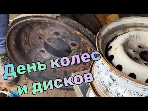 Видео: Ни дня без колеса, ни дня без диска