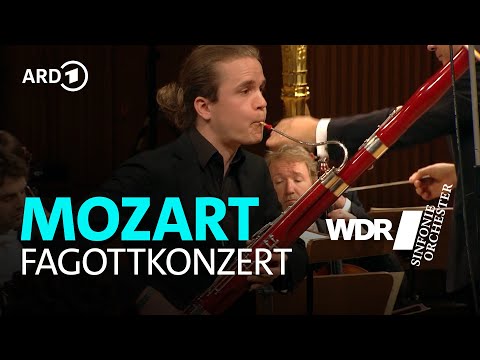 Видео: Моцарт - Концерт для фагота с оркестром | Матис Каспар Стир | Симфонический оркестр WDR