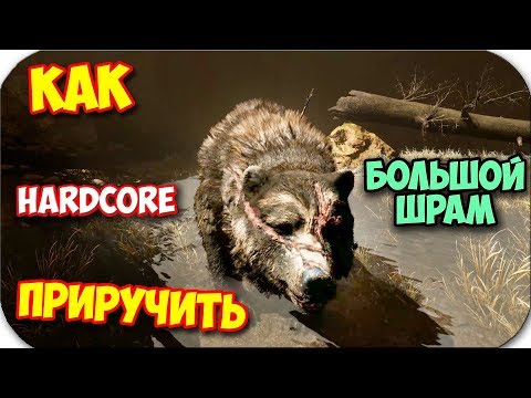 Видео: КАК ПРИРУЧИТЬ ТОП МЕДВЕДЯ БОЛЬШОЙ ШРАМ - Far Primal #36