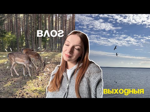 Видео: влог/мае выходныя/восеньскія шпацыры 