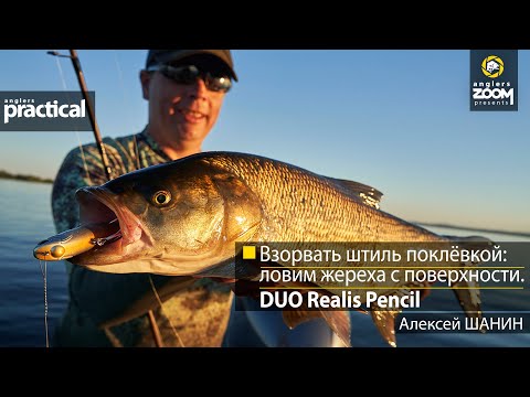 Видео: Взорвать штиль поклёвкой: ловим жереха с поверхности. DUO Realis Pencil. Алексей Шанин. An.Practical