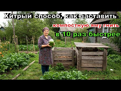 Видео: Я в Шоке! Что добавить в компостную яму для быстрого перегноя