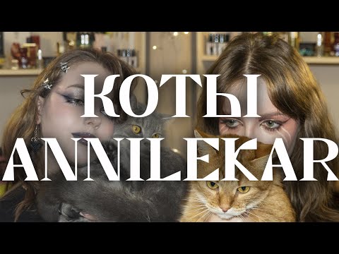 Видео: Мой опыт (обсирания) создания макияжного марафона/конкурса.