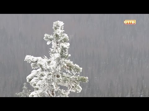 Видео: Висимский заповедник. Неизведанный мир. Если дома не сидится