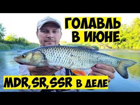 Видео: Рыбалка на ГОЛАВЛЯ летом! Как ловить голавля летом на спиннинг! РЫБАЛКА в июне! Воблеры на голавля