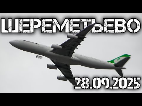 Видео: Споттинг в Шереметьево 28.09.2025