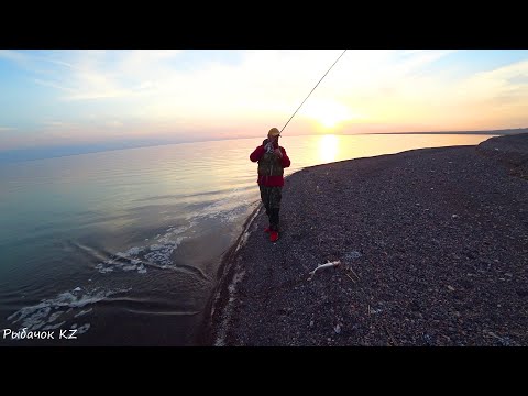Видео: НАСОСНЫЕ ПОПАЛИ В ШТИЛЬ И НАКОСИЛИ СУДАКА! ЧАСТЬ 1