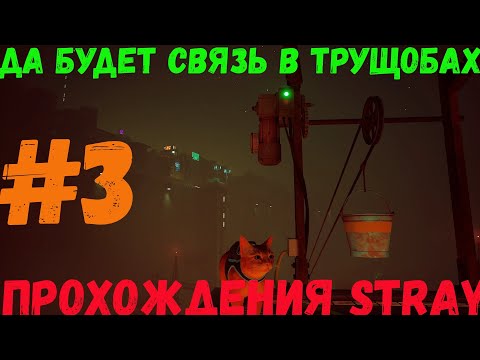 Видео: Починили связь и Поговорили с Аутсайдерами в Stray