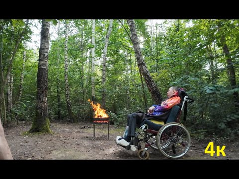 Видео: Устроили пикник прямо в парке.