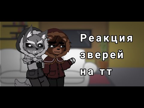 Видео: Реакция зверей на тт | tiny bunny | jopa