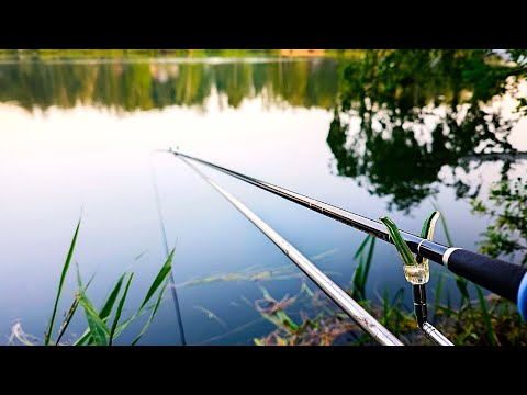 Видео: ЗОЛОТАЯ РЫБА! Как их ловить в ЖАРУ?!|Haizhan II (hard 4,8 м)