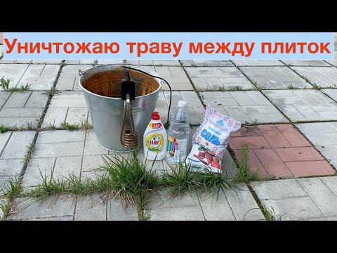 Видео: Как избавится от травы между плиткой на дорожках! Эффективное средство от травы между плиткой - соль