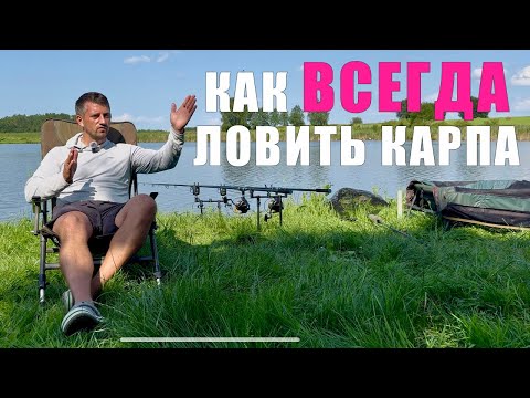Видео: Что СДЕЛАТЬ, чтобы всегда ловить карпа? Подробная инструкция. Карпфишинг 2025