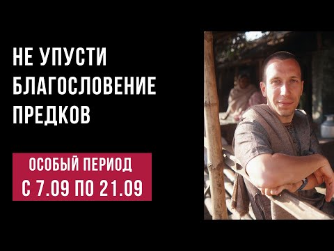 Видео: 🔱Питри Пакша: Что делать в эти дни, чтобы получить поддержку рода