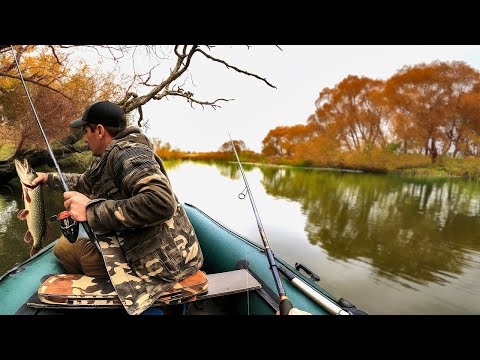 Видео: Ця приманка ловить завжди !!! Осінній день на річці Горинь !!!