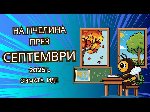 Видео: Най - важното за пчелите през Септември. Последния месец от  подготовката за зимата.