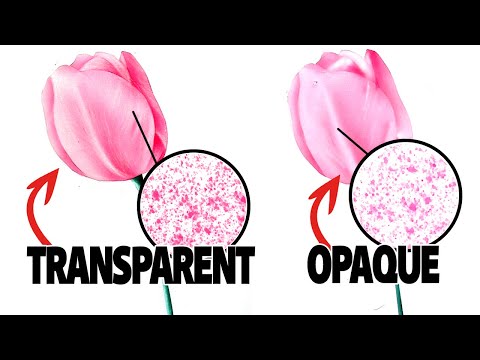 Видео: Теория цвета аэрографа: прозрачные и непрозрачные цвета