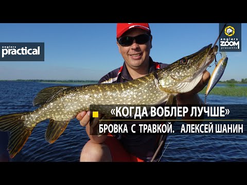 Видео: "Когда воблер лучше." Бровка с травкой.  Алексей Шанин. Anglers Practical