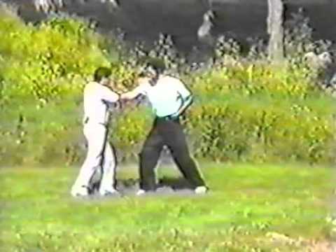 Видео: Тайдзи цигун - Исцеляющие упражнения