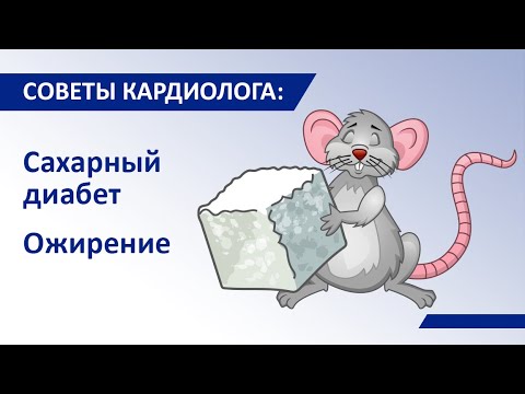 Видео: Советы кардиолога Сергиенко: Сахарный диабет. Ожирение.