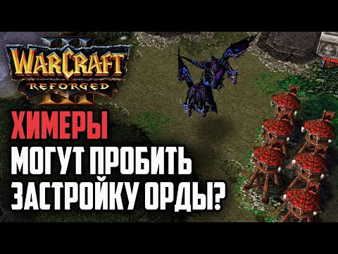 Видео: ХИМЕРЫ МОГУТ ПРОБИТЬ ЗАСТРОЙКУ ОРДЫ?: Warcraft 3 Reforged