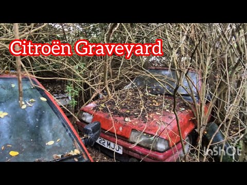 Видео: Кладбище Citroën. 🚗