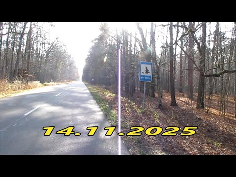 Видео: Лебедина зимівля –  Богуславка