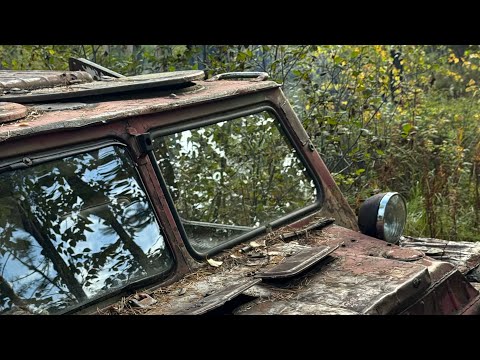 Видео: Кедрач глазами девчонки байкальский 