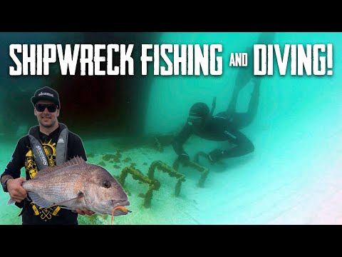 Видео: Большой Тревалли и Снэппер в гавани — сезон 6, эпизод 4, Крайний север Новой Зеландии (часть 1)