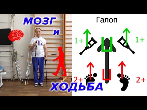 Видео: Мозг и Ходьба. От Костылей и Палочек к Нормальной Ходьбе.