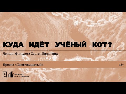 Видео: «Куда идёт учёный кот?» Лекция филолога Сергея Валюгина