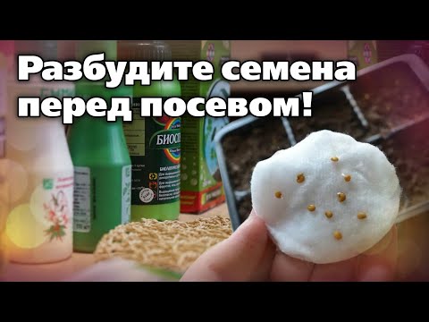Видео: Препараты для обработки семян перед посевом. От болезней и для стимуляции