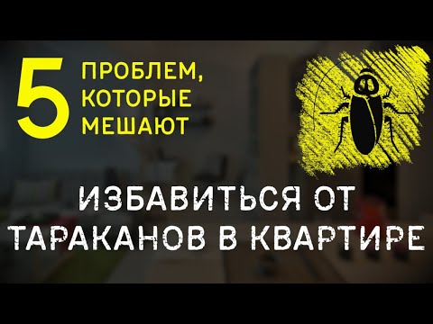 Видео: ТАРАКАНЫ В КВАРТИРЕ СНОВА И СНОВА — ПОЧЕМУ?