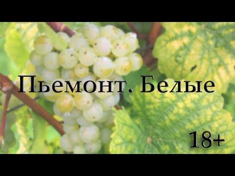 Видео: Пьемонт. Белые сорта винограда / Италия